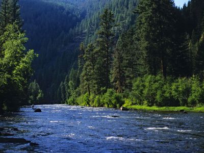 Fisherman on Rock Creek