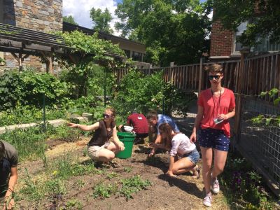 Schwanke participants working in UM garden