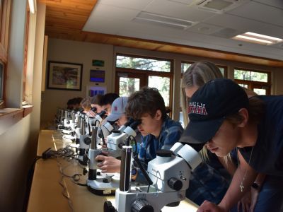 Schwanke participants using microscopes