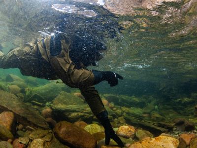 A UM student looks for fish while snorkeling in Rattlesnake Creek as part of their Fisheries Techniques class.