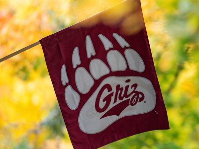 Griz flag