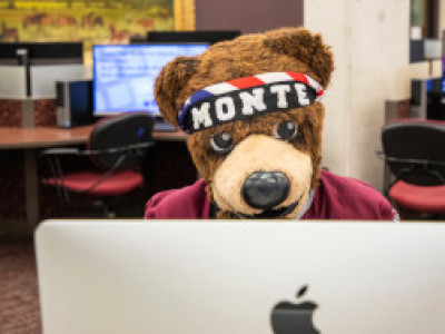 UM's mascot Monte the Grizzly Bear using a computer in a lab