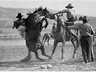 Bronc-riding at the Missoula Stampede, Missoula, �����ؿ�. Horse rearing. The pick-up man is on horseback by the bronc rider. Two other men stand nearby and another rider sits on a horse. Photograph number 73-0041.