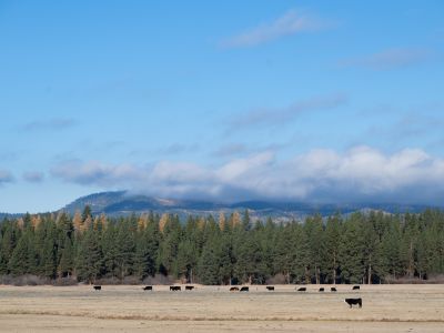 drone footage of bandy ranch