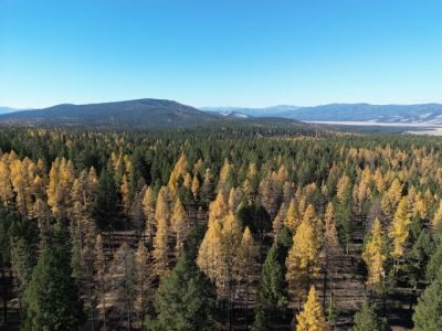 drone footage of lubrecht forest