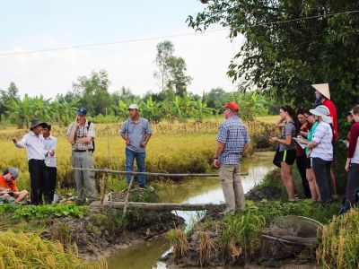 Students in a rice field