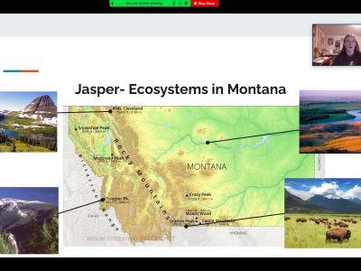 Another student presenting at a virtual event