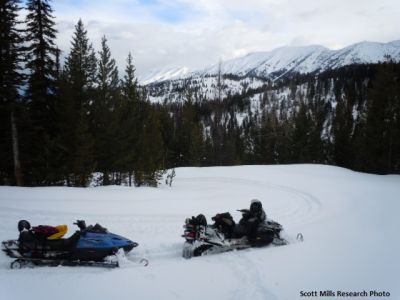 snow mobiles on a snowy road