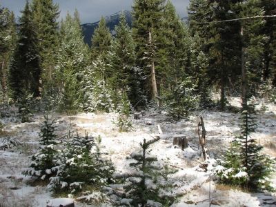 snowy mountain scene