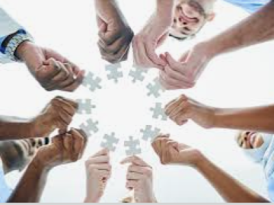Interprofessional Education (IPE)