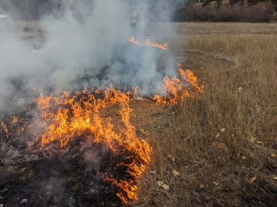 Fire Management