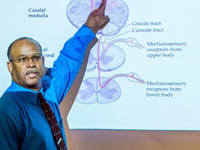 man presenting and pointing towards a medical image projected on a wall