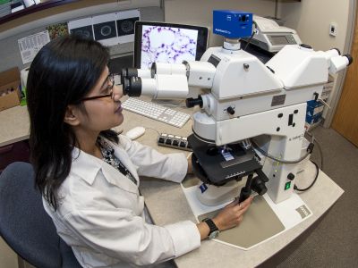 student looks in microscope