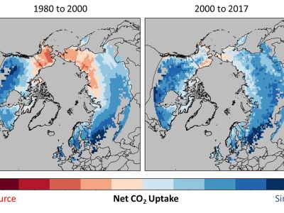 Net CO2 Uptake 