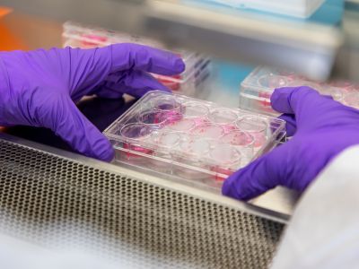 a lab tray with red liquid samples