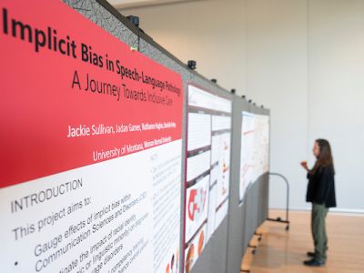 Research poster board