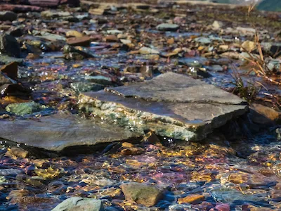 Water flowing over colorful rocks in Glacier National Park.