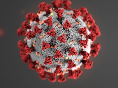 Photo of covid virus
