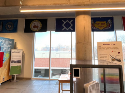 Native flags