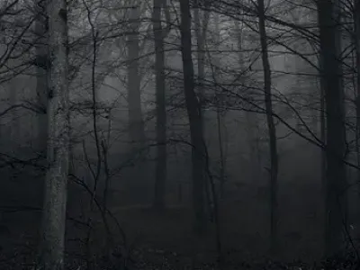 Trouble w/ Wilderness