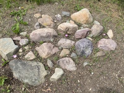 rock garden