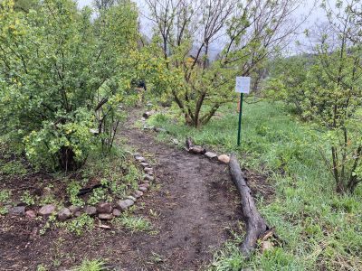 Garden pathway and Red Osier Dogwood sign