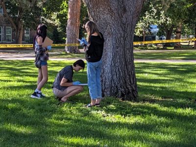 Students working outside in a class
