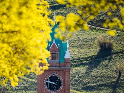 university building covered in flowers