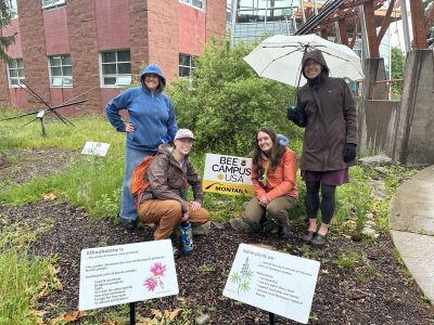 four people pose in front of a Bee Campus USA sign in the rain in by the PNAC