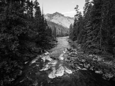 black and white photo of a river and fir trees looking down at a burned hillside