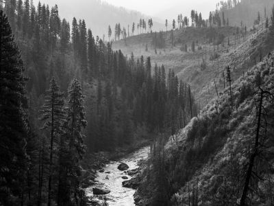 black and white photo of evergreen trees on hills leading down to river