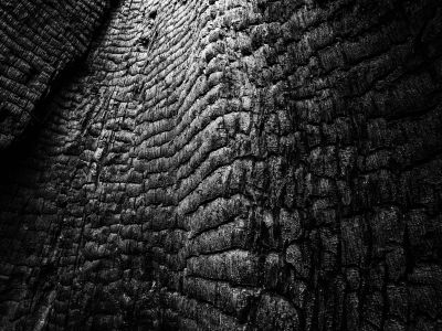 black and white photo of burnt shale cliffside