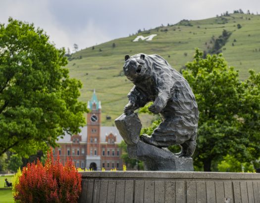 Grizzly Statue on Oval summer