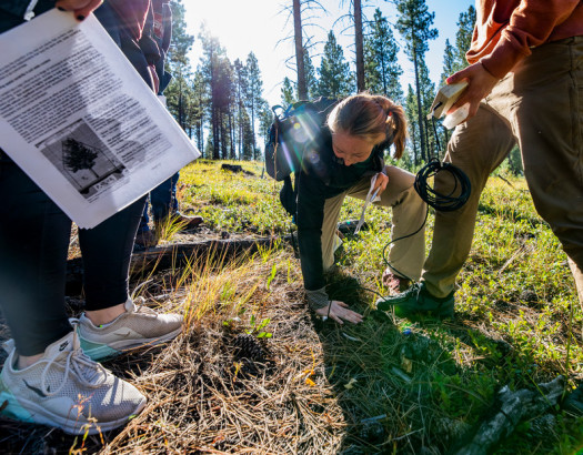 A woman kneels on the ground looking at the dirt