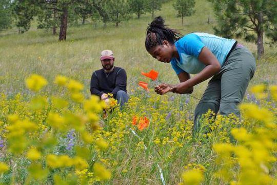 Student working in the field