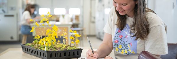 student taking notes while sitting next to a tray of blooming flowers