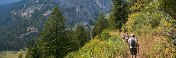 line of hikers walking along a trail on the side of a mountain with a tall rocky tree covered mountain in the background