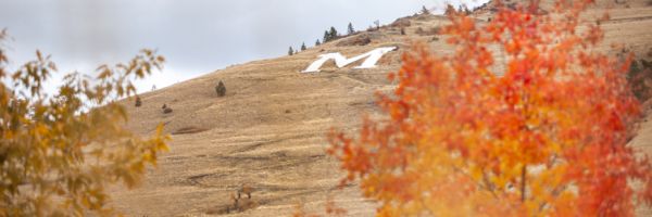 the M on Mount Sentinel seen through fall colored trees