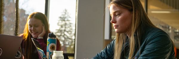 two students working on laptops on a table in front of a sunny window