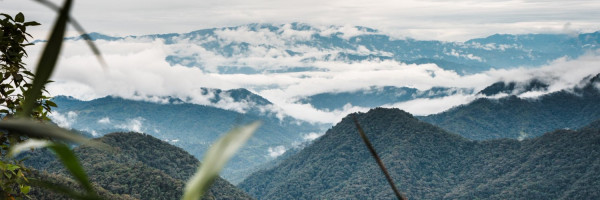 Tandayapa Cloud Forest Station (TCS)