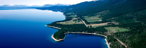 pine tree covered shoreline of flathead lake seen from above