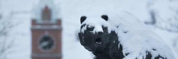the head of the UM Grizzly sculpture covered in snow with the clock from University Hall in the background