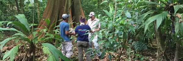 three people in a circle talking amongst tropical foliage