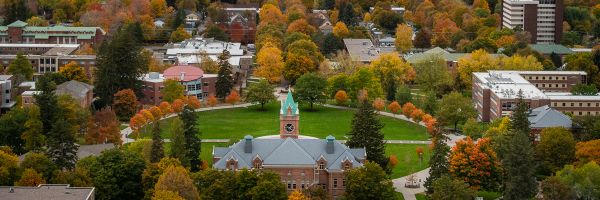 the oval seen from behind and above University Hall 