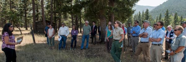 group of people listening to a presentation while standing in a opening of a mountain forest