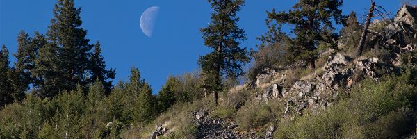 moon seen during the day above a rocky, tree covered hill