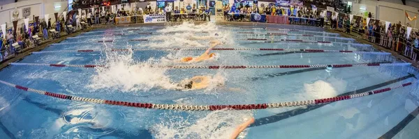 Swimmers race in the Grizzly Pool at UM