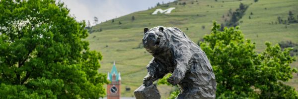 the UM grizzly statue on the oval on an overcast day with University Hall and the M trail in the background