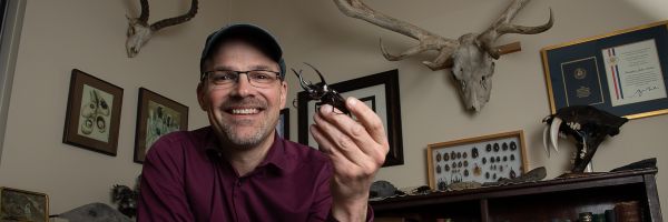 Professor Emlen holding a preserved beetle in an office with other specimens on the walls