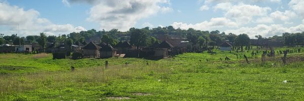 rural village with thatched huts in a green field and forest